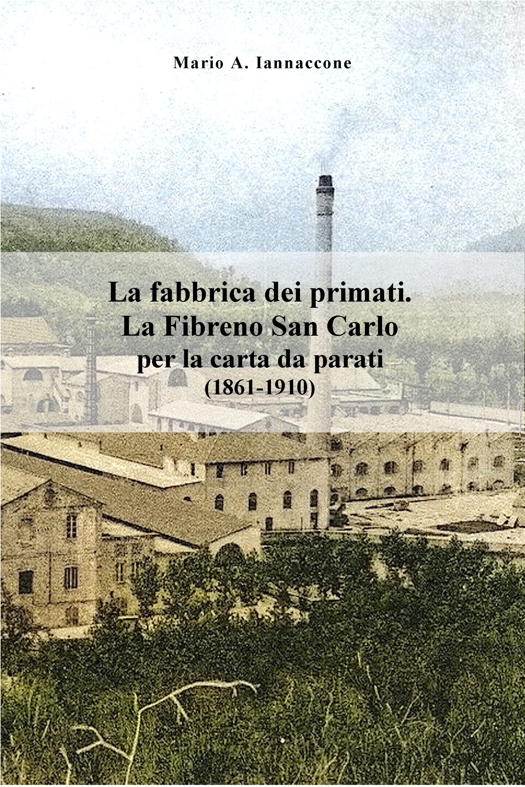 11_La fabbrica dei primati. La Fibreno San Carlo-1 Colume terzo